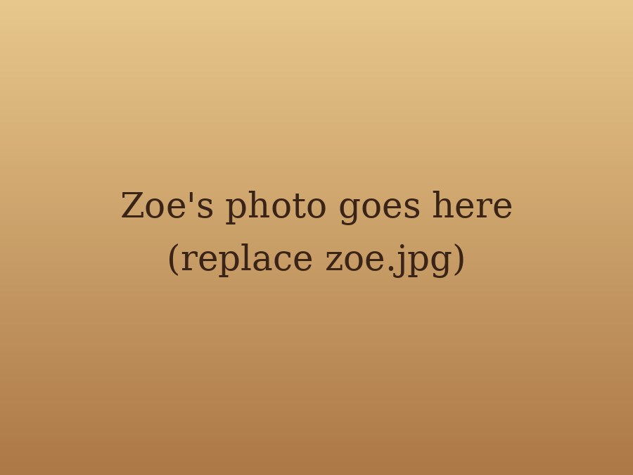 Zoe the miniature dachshund